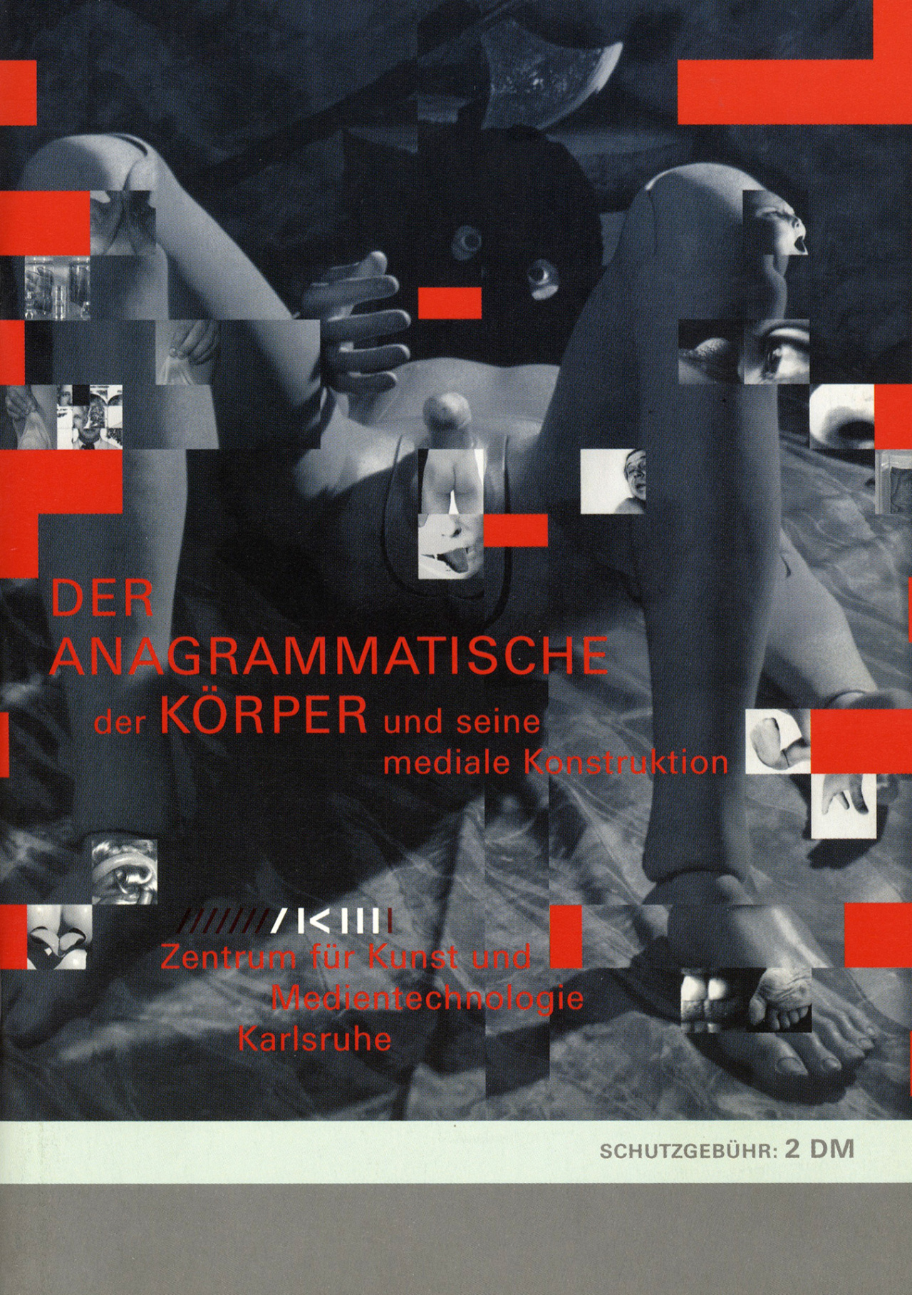 Cover der Publikation »Der anagrammatische Körper«