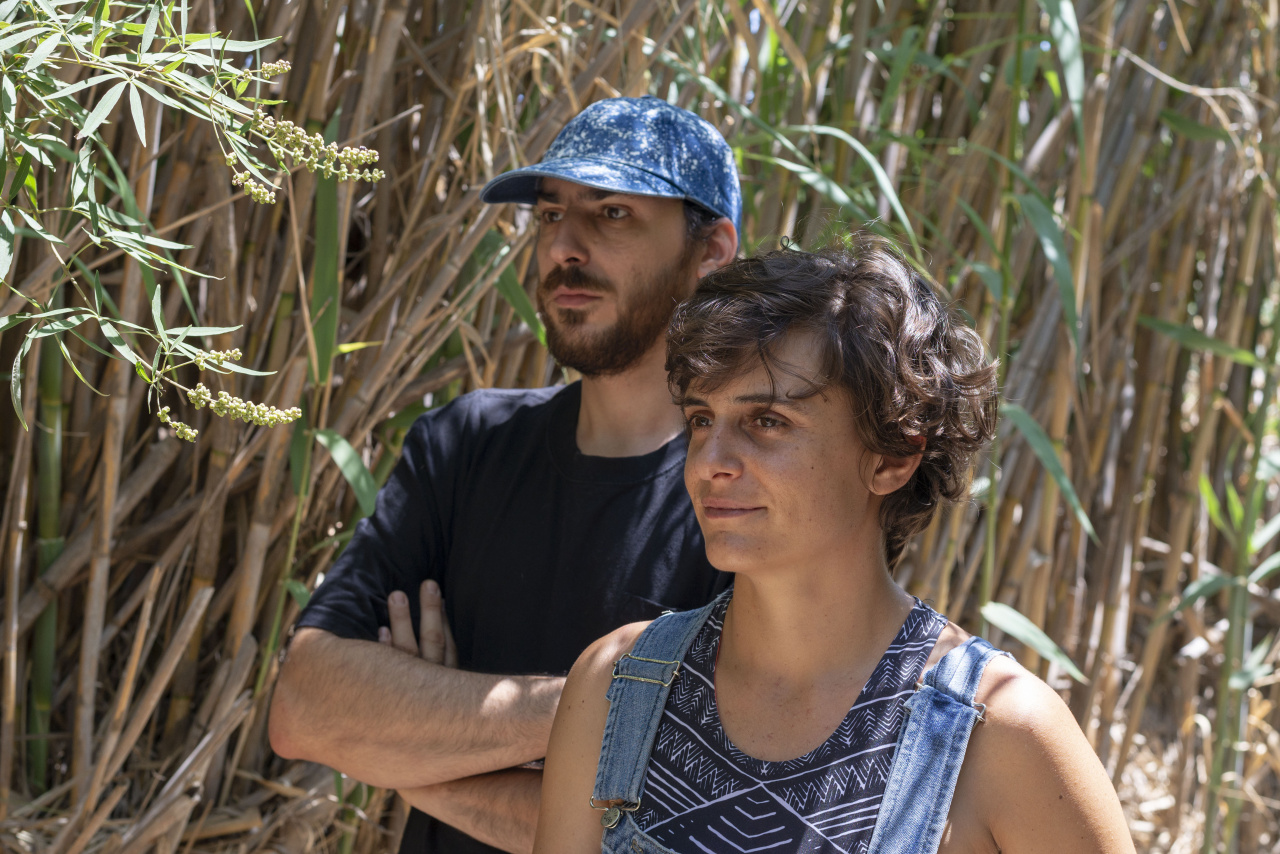 The picture shows the artist duo Hypercomf. Here they stand diagonally behind each other, the woman in front and the man behind, while both are turned to the left and look at something outside the picture. They are standing in front of a cornfield.