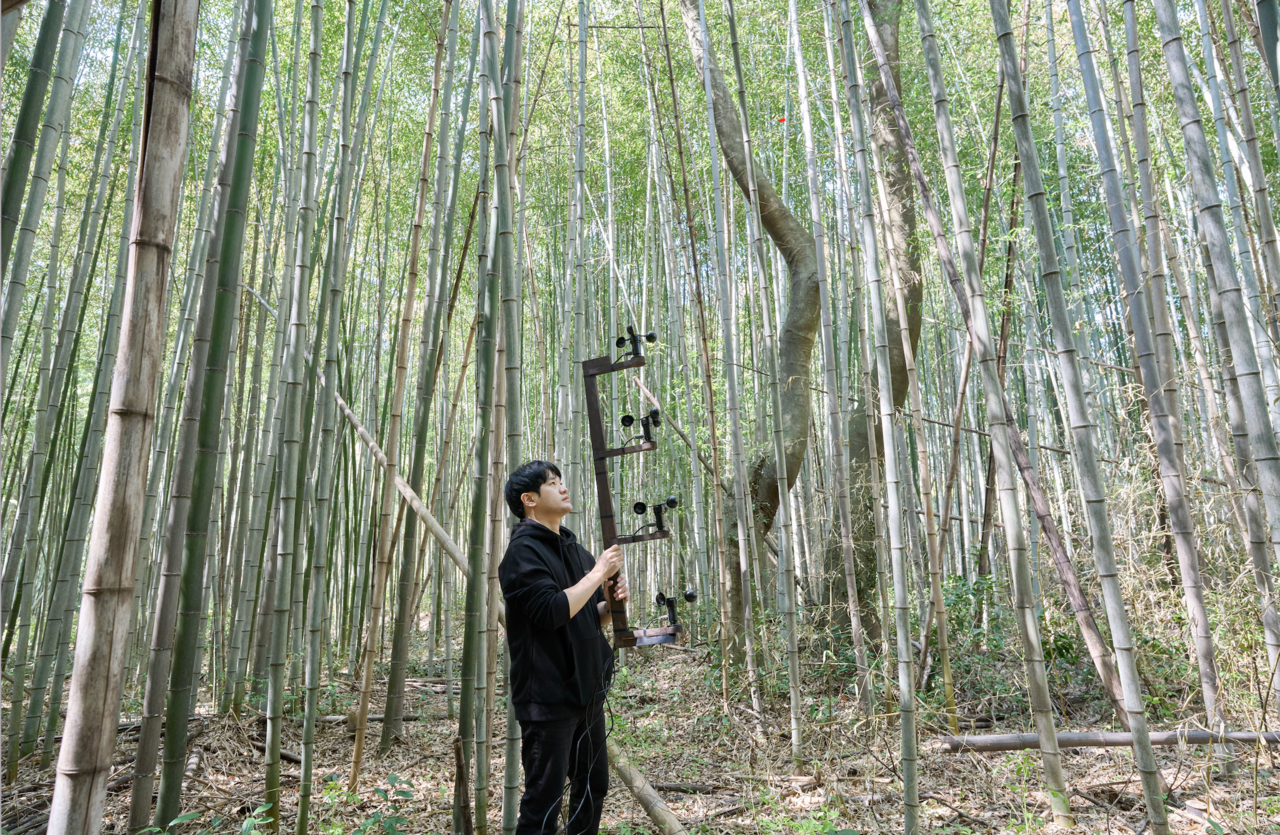A person stands in the forest during a performance with a 4-channel wind sampling device.
