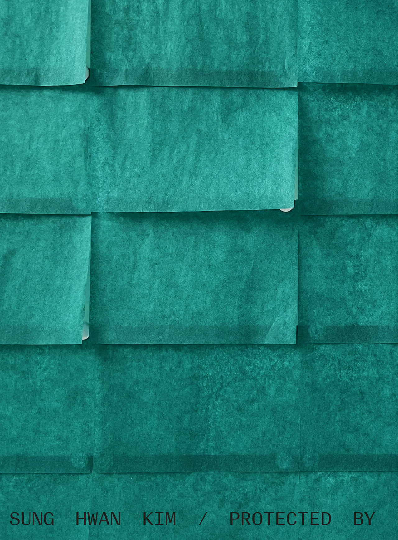 Cover of the publication Sung Hwan Kim. Protected by roof and right-hand muscles. The image shows an excerpt from one of the artist's works featuring numerous green sticky notes attached to a wall.