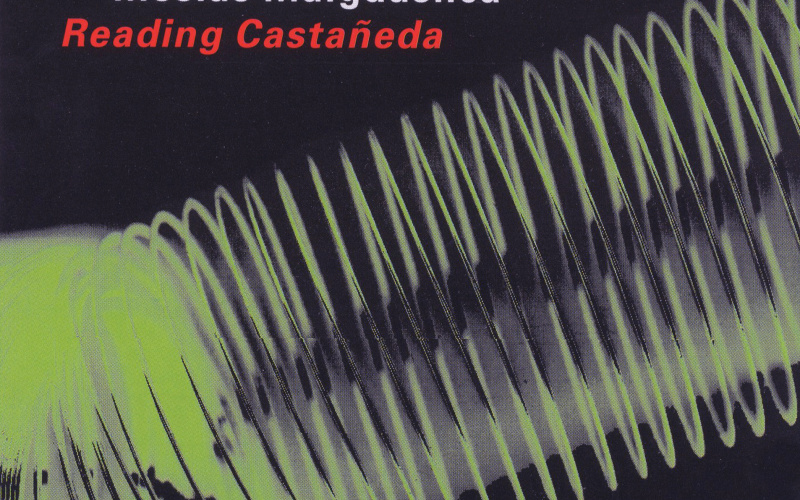 Cover of the publication »Reading Castañeda«