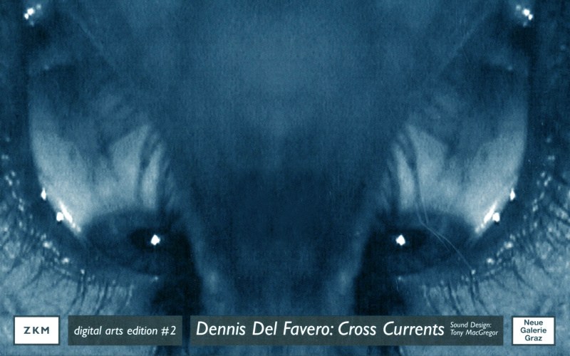 Cover of the publication »Dennis Del Favero: Cross Currents«