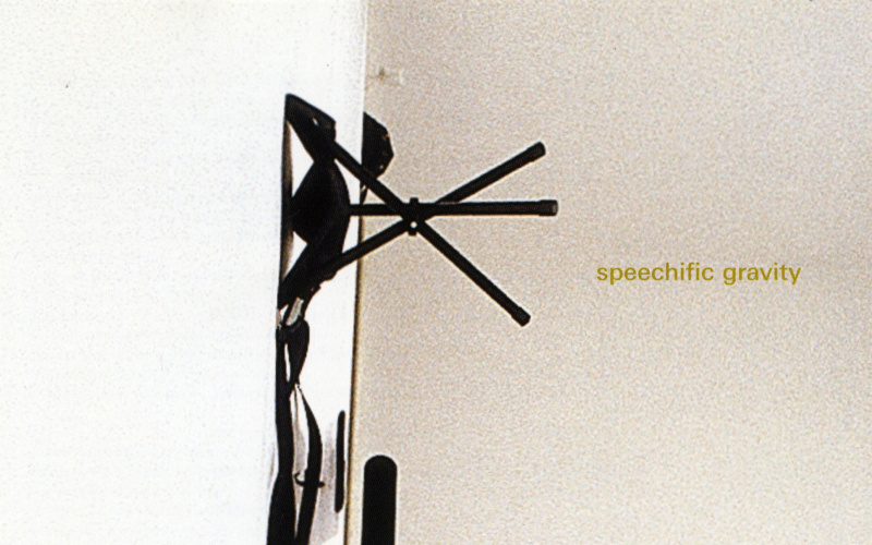 Cover der Publikation »Speechific Gravity«