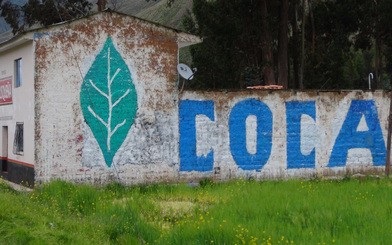 View of a house wall and a wall: On there that painting of a green leaf and the word "Coca"