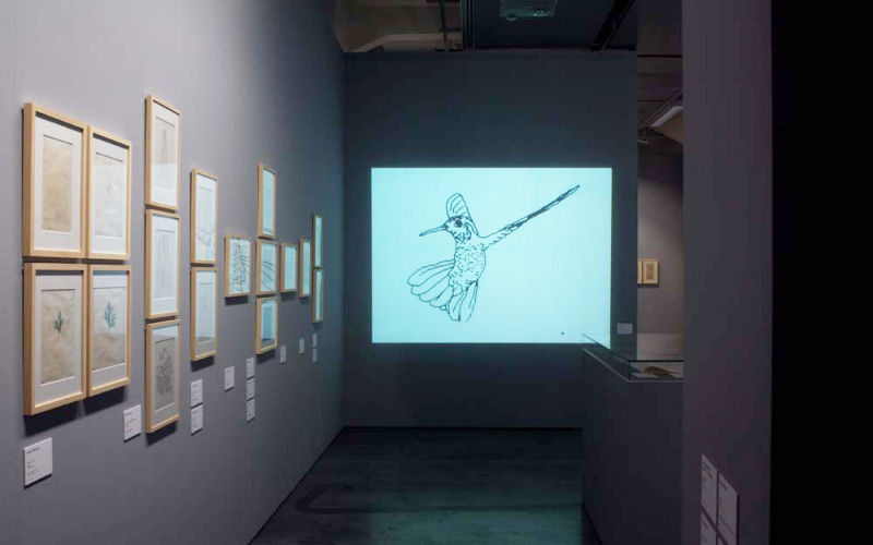 Blick in die Ausstellung »bit international«. An der linken Wand hängen Computergrafiken. In der Mitte ist eine Projektion des Films »Hummingbird« von Charles Csuri zu sehen..