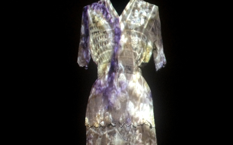 A Bacteria Dress