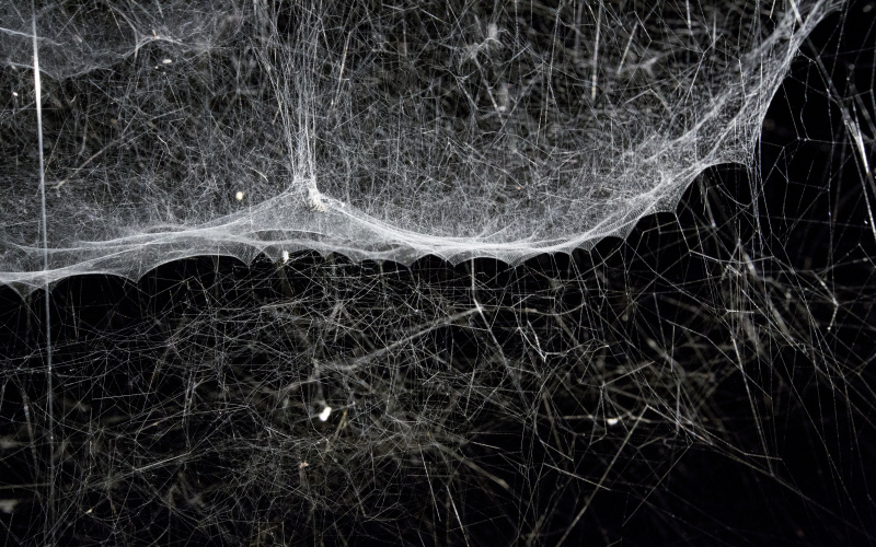 Globale Tomas Saraceno Spinnennetz