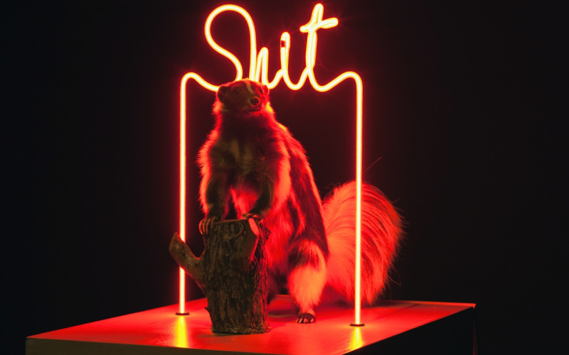 Stuffed skunk under fluorescent lighting