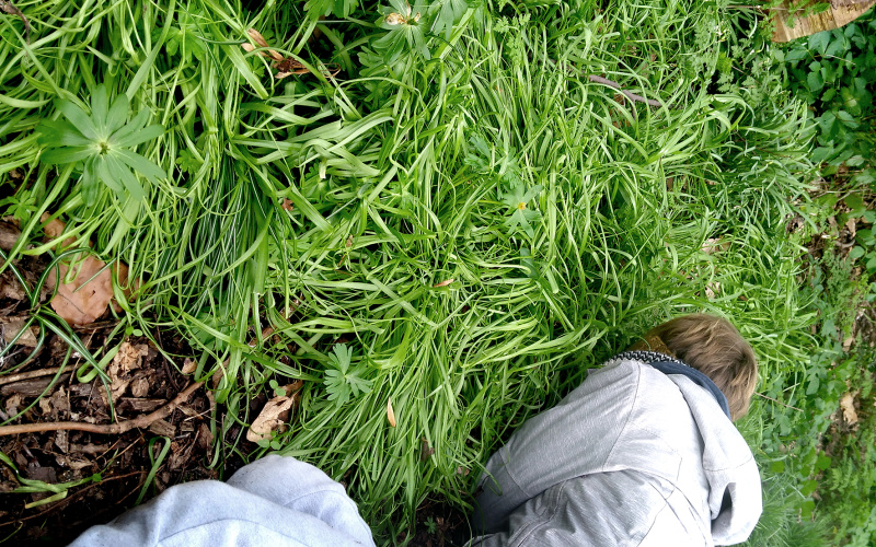 Auf einer grünen Wiese kniet sich eine Person mit ihrem Gesicht auf dem Boden hin.