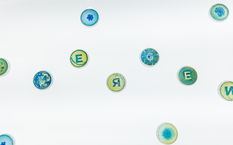 On display are Petri dishes in which bacteria have developed around letters.