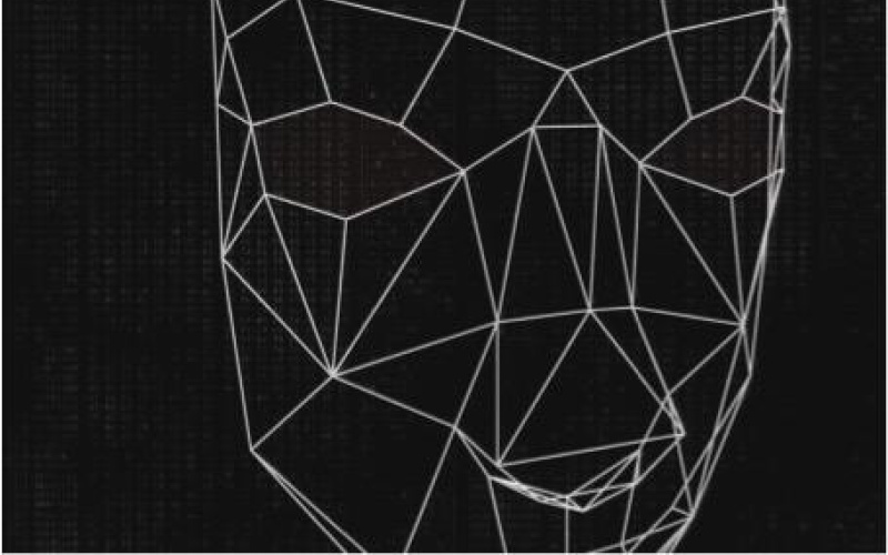 Gitterartige Darstellung eines Gesichts mit weissen Linien auf schwarzem Grund
