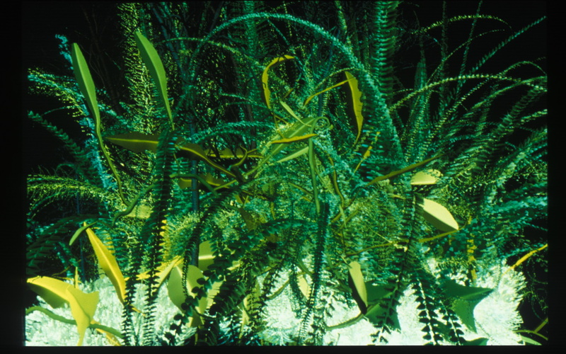 Interactive Plant Growing 
