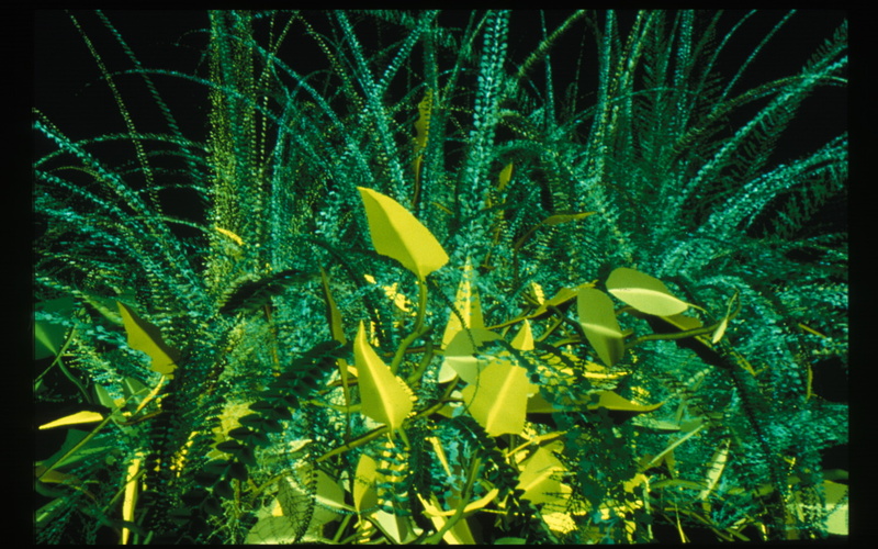 Interactive Plant Growing 