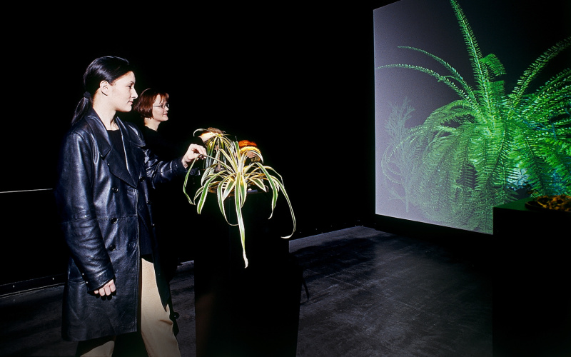 The Interactive Plant Growing