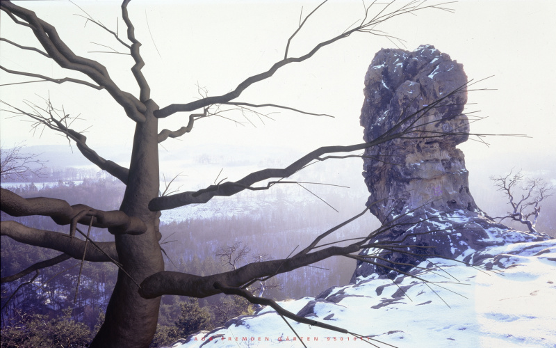 AUS FREMDEM GÄRTEN 9501011 (Felsen)