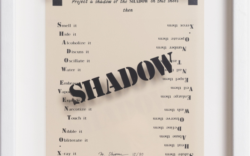 Shadow Event No. X
