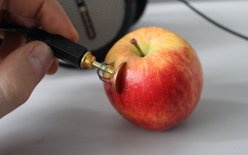 A copper coin and a zinc wire have been thrusted into an apple. Someone is holding a jack connector to both metallic items, that can now carry electricity. 