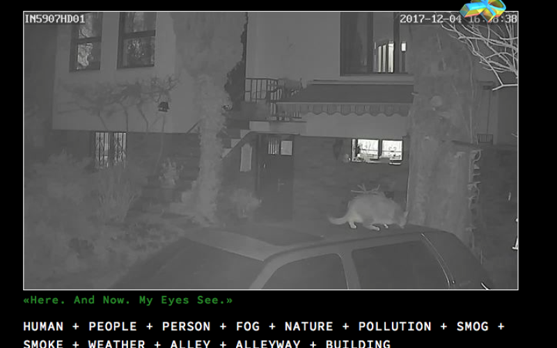 The screenshot of a surveillance camera shows a cat on a car parked in front of a house.