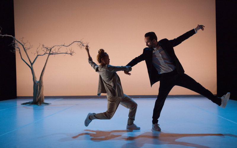 Two dancers holding hands. In the background a tree.