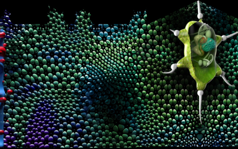 Global Illumination mit der Show »The Evolution of Life«