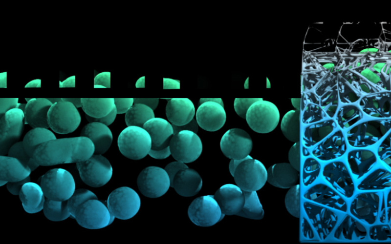 Global Illumination mit der Show »The Evolution of Life«