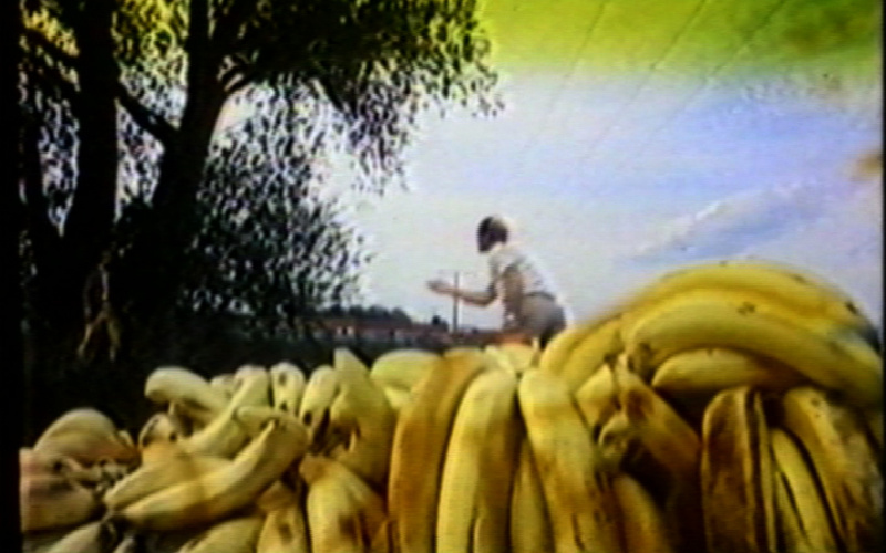 Werk - Bananen - i004002.jpg