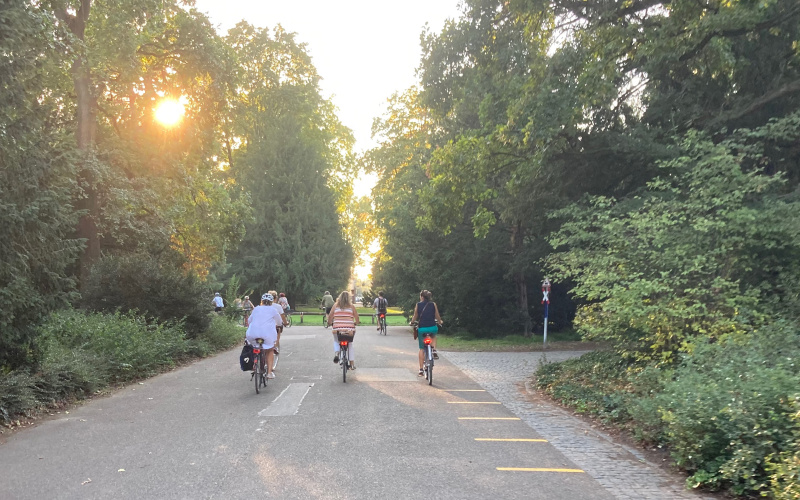 Drei Menschen fahren auf ihren Fahrrädern im Karlsruher Schlossgarten der untergehenden Sonne entgegen.