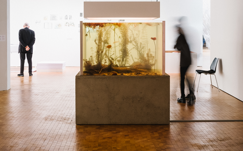 Ein Aquarium in der Ausstellung »Reset Modernity!«