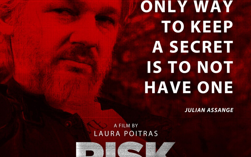 Poster of the film »Risk« about Julian Assange