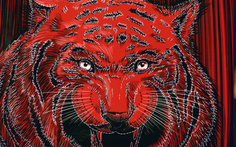 Das Buchcover zeigt einen Tigerkopf in rot, grau, schwarz und weiß sowie den Titel »Global Activism« in weiß.