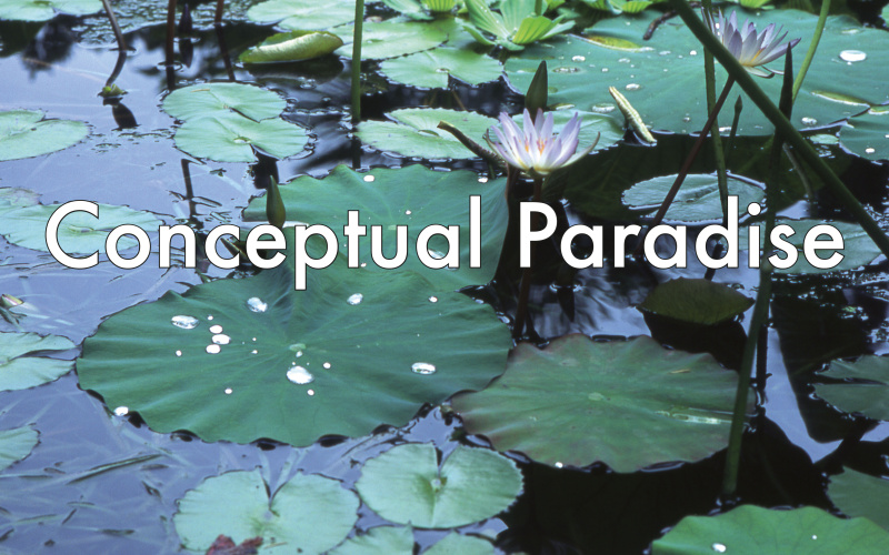Photo of a pond with water lilies. In front the text »Conceptual Paradise« in white.