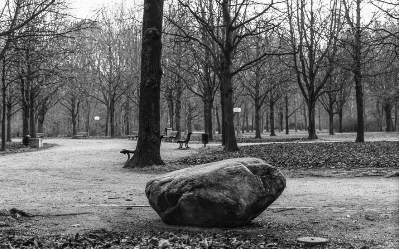 Schwarzweiße Fotografie: Park, mit kahlen Bäumen, im Vordergrund ein Findling