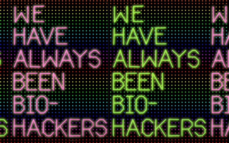 On top of pixeldots in rainbowcolor is the same testemony written over and over again in green and pink »WE HAVE ALWAYS BEEN BIO-HACKERS«