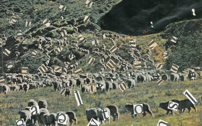 Eine Collage zeigt eine Schafherde an einem grünen Bergabhang unter einem roten Himmel. Überall bei den Schafen sind ausgeschnittene Buchstaben aus Zeitungen aufgeklebt. 
