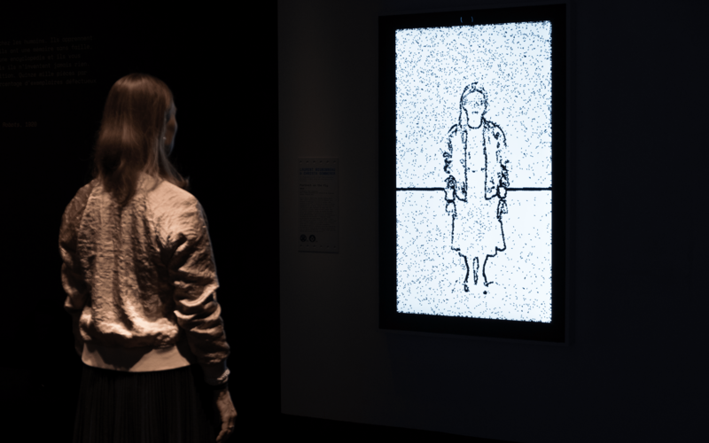 A woman's silhouette is represented by virtual flies on a screen