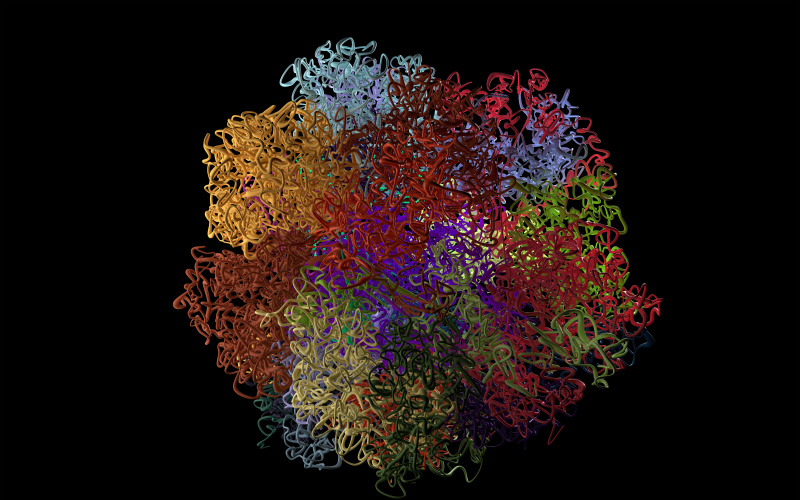 Abstract representation of the human genome. It looks like a ball of wool made of tangled threads in different colours.