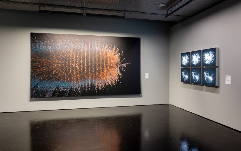 In the foreground is a canvas that shows a network in an oval elongated shape similar to a brush.