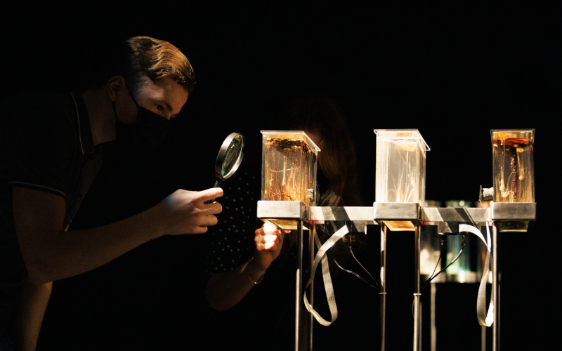 A man looks at the generative chemical audio installation by Robertina Šebjanič, Zergon (Aleš Hieng), Ida Hiršenfelder with a magnifying glass.