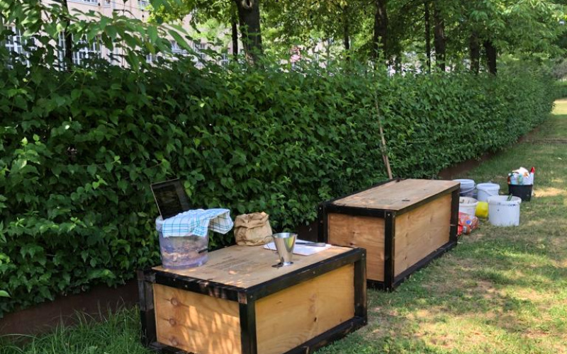 Holzkisten und Gartenutensilien auf einer Wiese