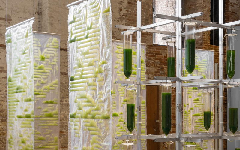 EcoLogicStudio, »Bit.Bio.Bot«, 2021, Stainless steel structure, lab grade borosilicate glass, bioplastic components filled with micro-algae cultures