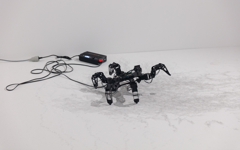 Fabien Zocco, »Spider and I«, 2020