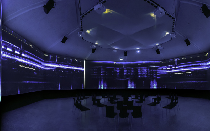 David Monacchi can be seen in a blue room. Sound tracks are projected on the walls. Chairs are placed in the center of the room.