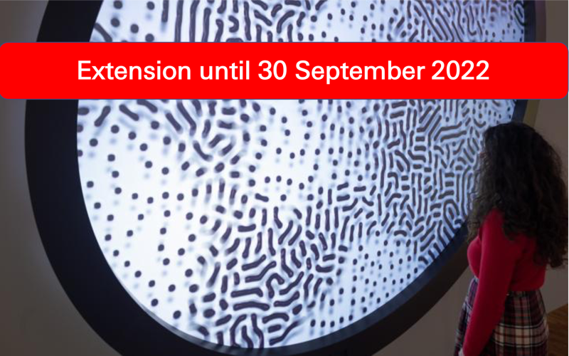 Frau steht vor einem Werk aus der BioMedien Ausstellung