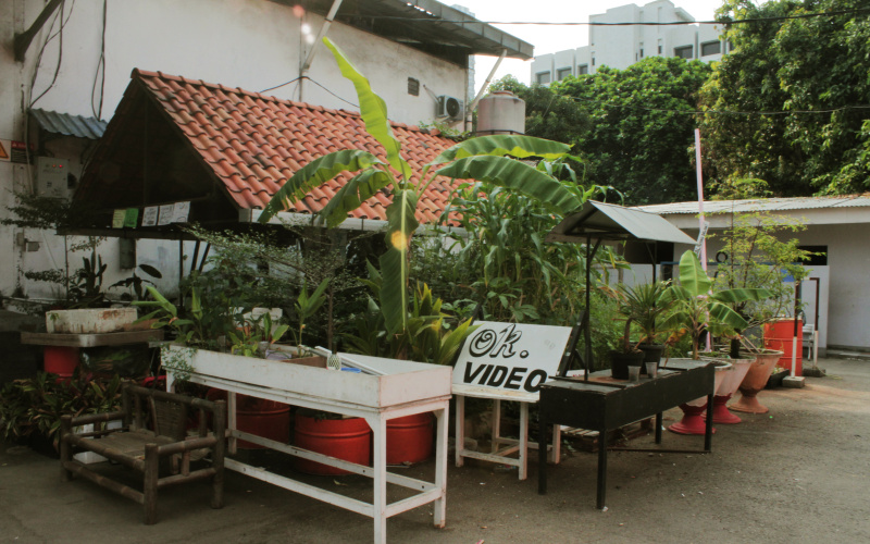 A courtyard with plants. 