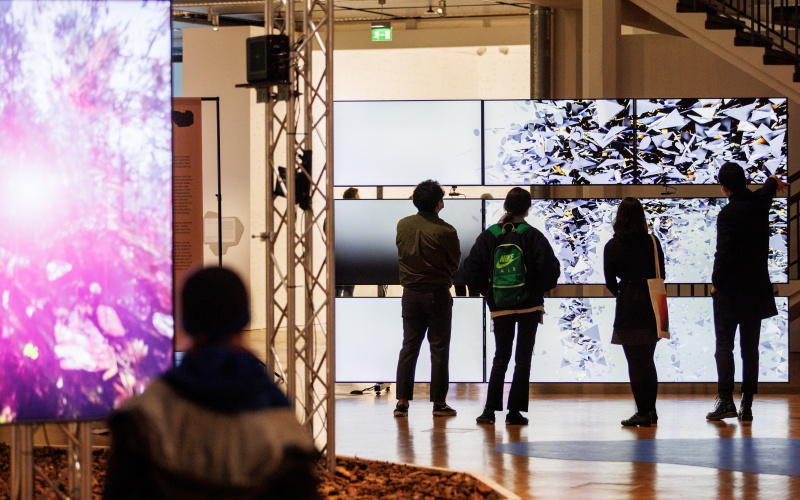 Random International, »Algorithmic Swarm Study (Triptych) / ll«, 2021. Zu sehen sind mehrere Personen vor neun rechteckig angeordneten Bildschirmen in der Ausstellungen BioMedien.