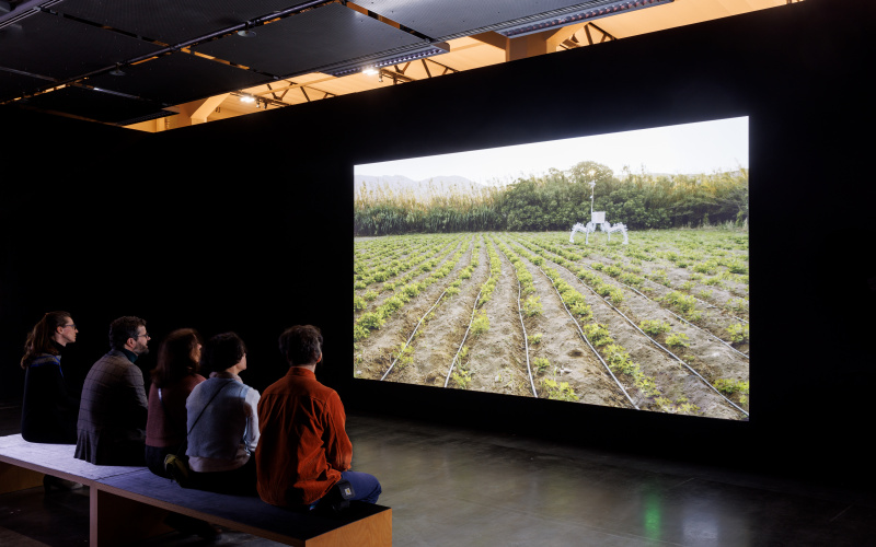 You can see several people in a darkened room sitting in front of a screen. On the screen there is a field with a spider-like white robot on it. 