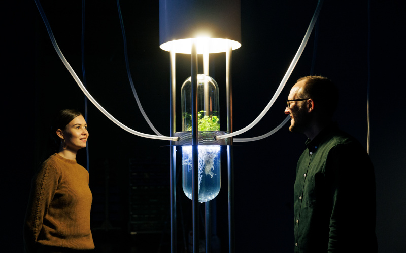 You can see a glass dome, in which is Klee. Several transparent tubes are attached to the glass dome. Two people are looking at this.
