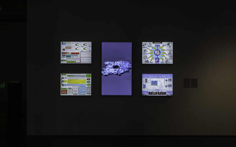 You can see four smaller screens and in the middle a larger screen in portrait format. On the four screens are various information graphics. The screen in the middle shows a blue entity.
