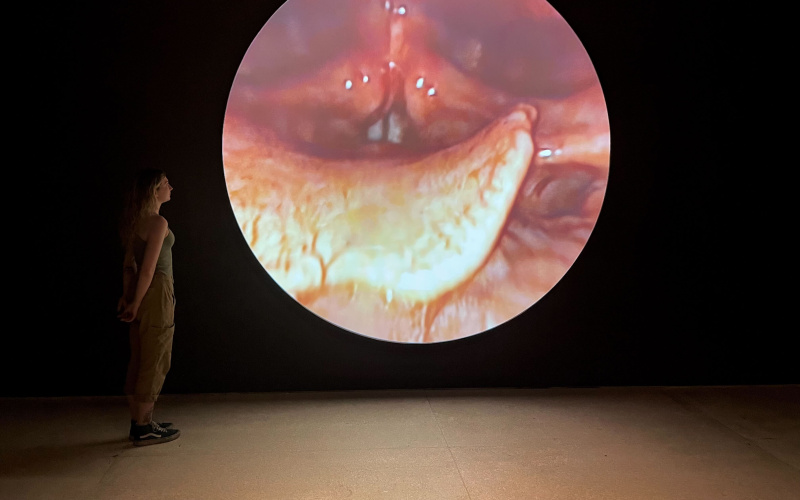 Man sieht das Werk »Vocal Folds«. Eine Frau steht in einem abgedunkelten Raum und schaut auf eine runde Projektion. Die Projektion zeigt eine Magenspiegelung.