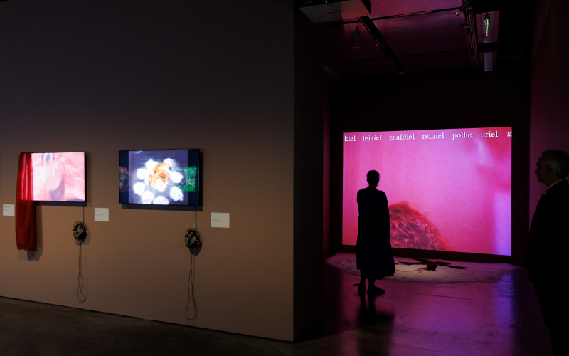 »Ulrike Rosenbach. today is tomorrow. Works since 1969« at ZKM | Karlsruhe, 2023.